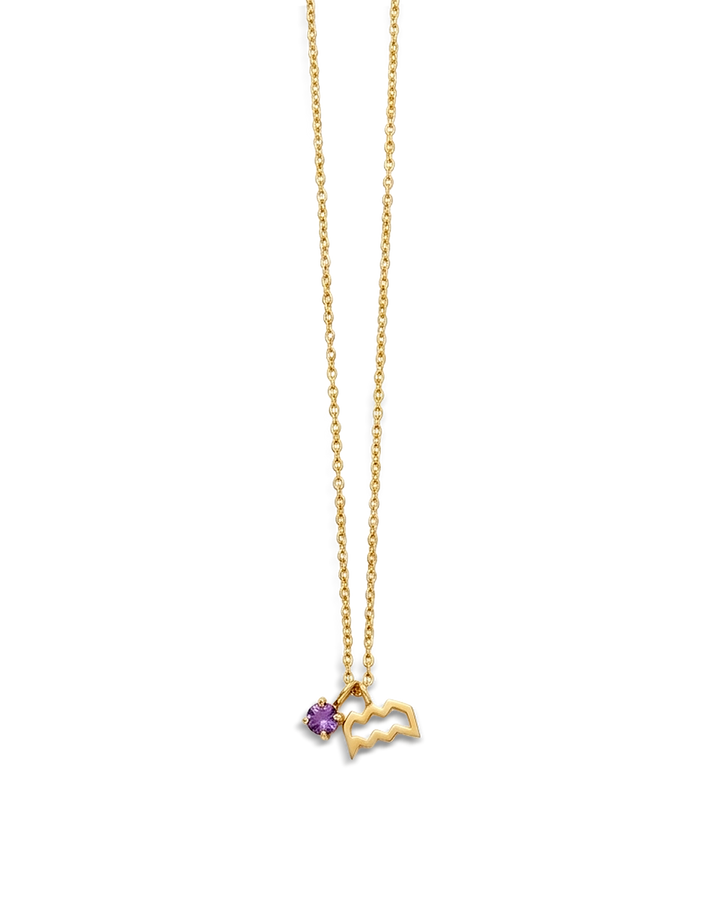 Aquarius Amethyst Birthstone Necklace
