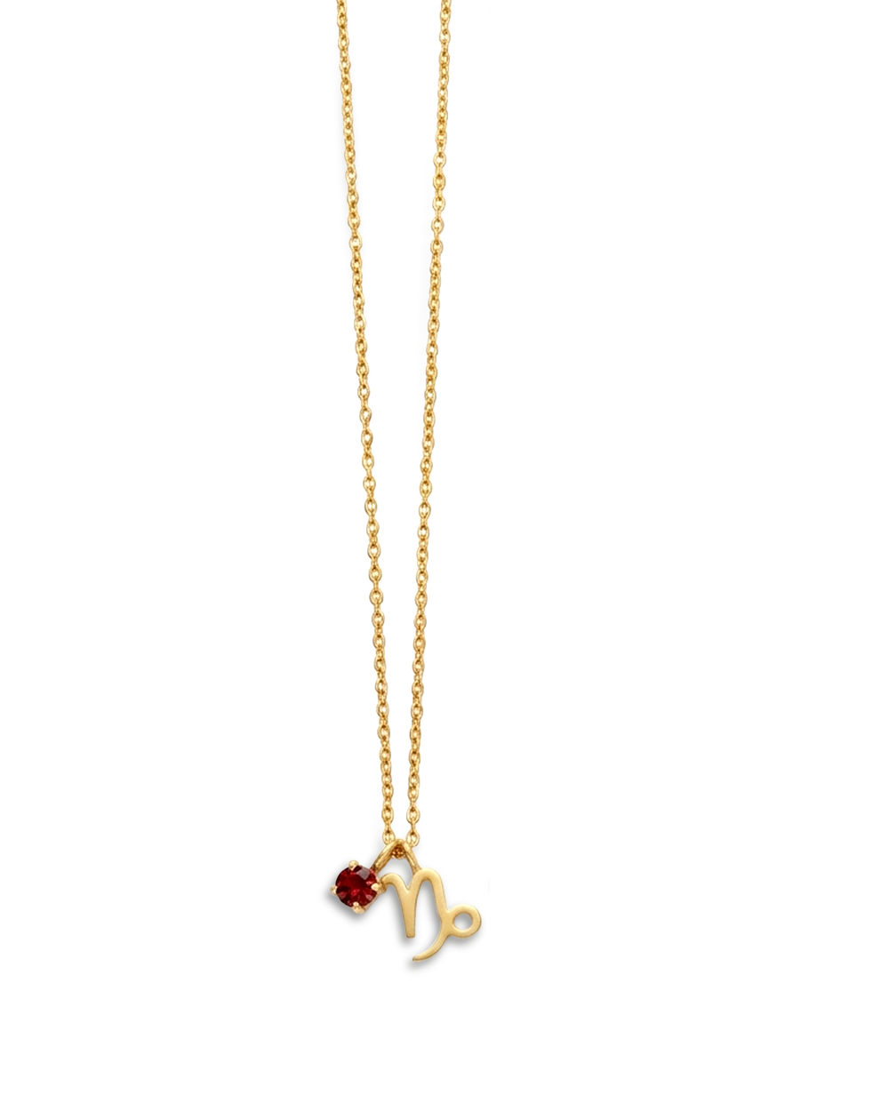 Capricorn Garnet Birthstone Necklace