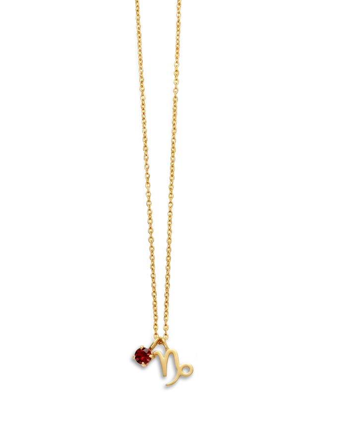 Capricorn Garnet Birthstone Necklace