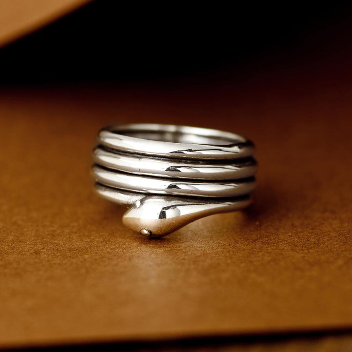 Snake Fidget Ring