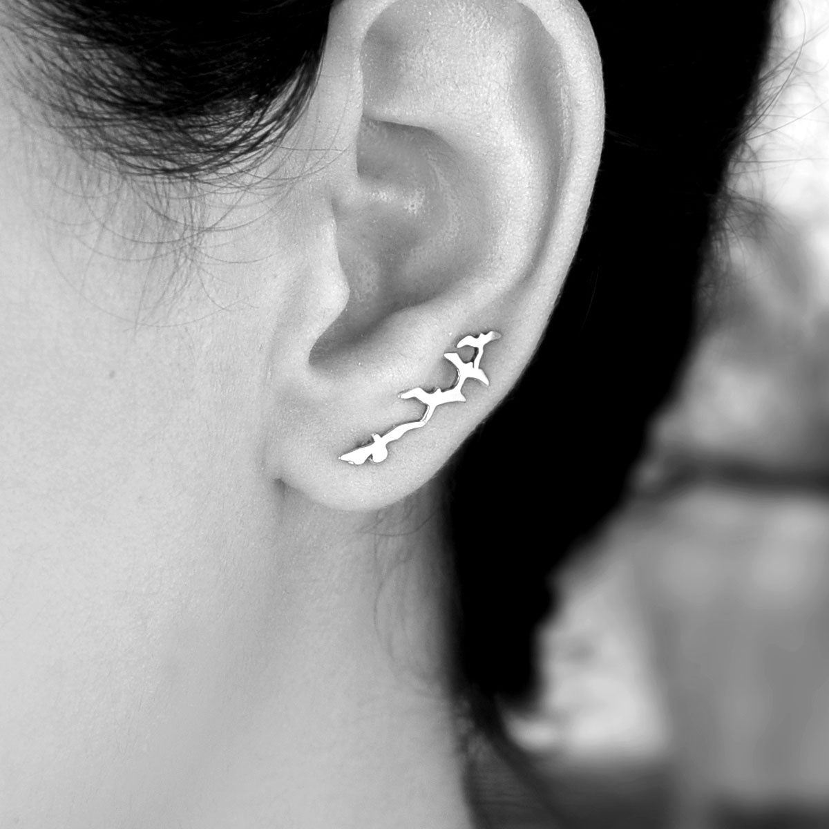 Silver Birds Earrings